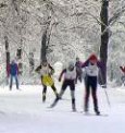 «Мечка» ждет лыжников (Новодвинск) — Спорт — Новости Архангельска