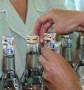 С нового года минимальная цена на водку составит 89 руб. за 0,5 литра — Экономика — Новости Архангельска