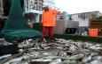 Свыше 150 тысяч тонн рыбы выловили архангельские рыбаки в 2014 году — Экономика — Новости Архангельска